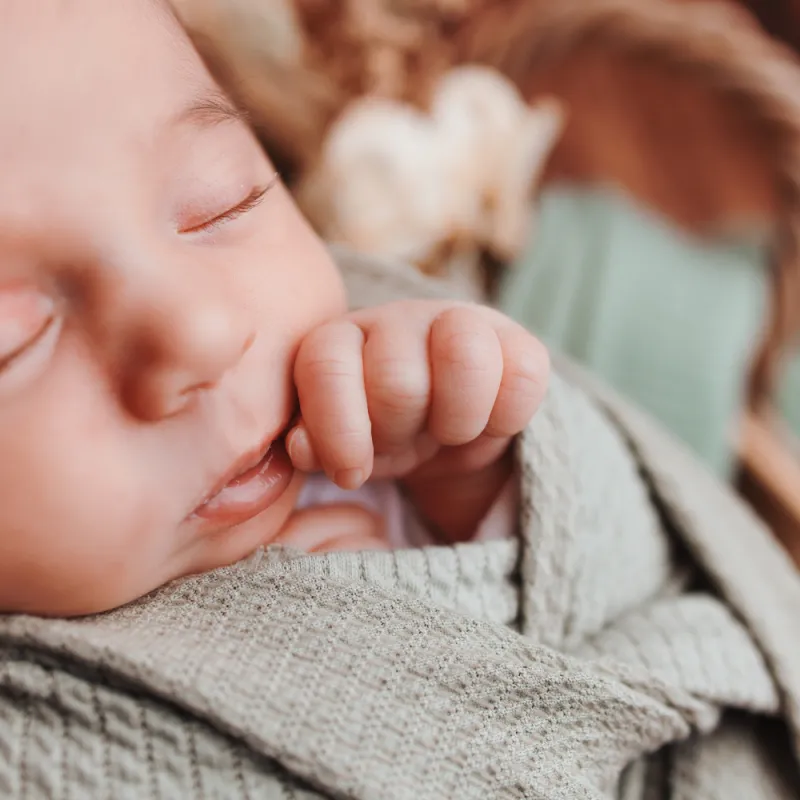 Séance photo naissance fille à Besançon