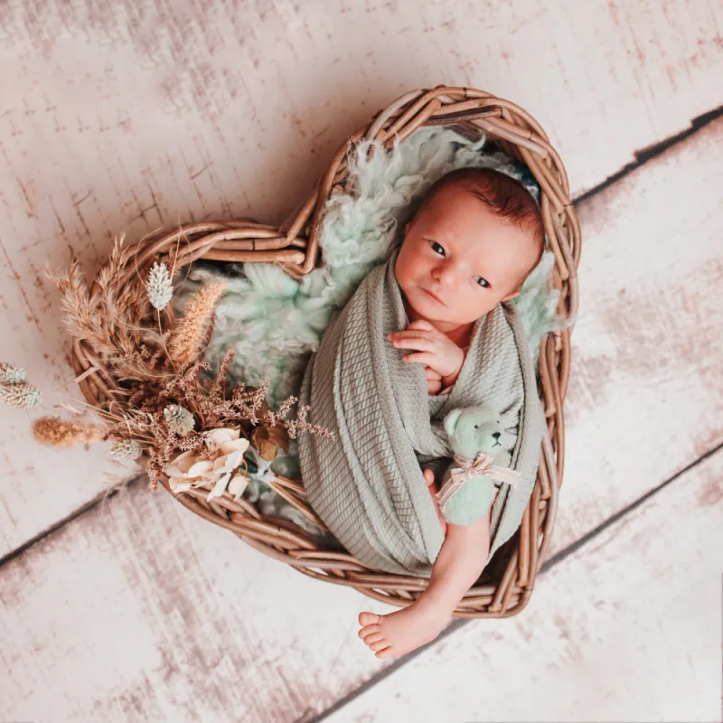 Photographe shooting naissance en famille à Besançon
