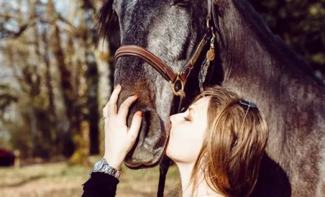 Photographe professionnelle séance photo avec chevaux à Besançon, Besançon, TAILS PHOTOGRAPHIE