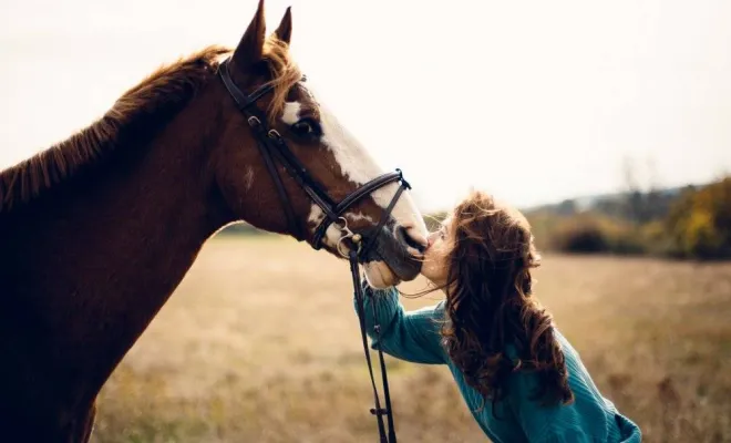 Photographe professionnelle shooting équestre Besançon, Besançon, TAILS PHOTOGRAPHIE