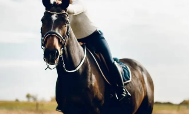 Photographe professionnelle shooting équestre Besançon, Besançon, TAILS PHOTOGRAPHIE