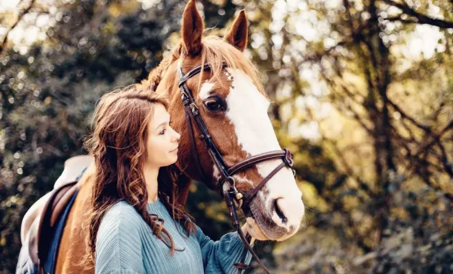 Photographe professionnelle shooting équestre Besançon, Besançon, TAILS PHOTOGRAPHIE