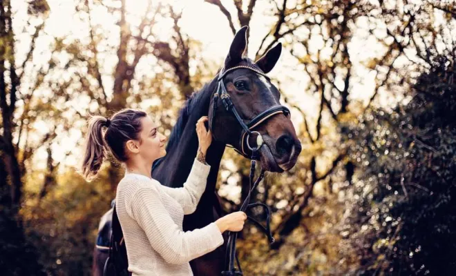 Photographe professionnelle shooting équestre Besançon, Besançon, TAILS PHOTOGRAPHIE