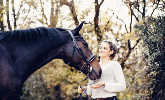 Photographe professionnelle shooting équestre Besançon, Besançon, TAILS PHOTOGRAPHIE