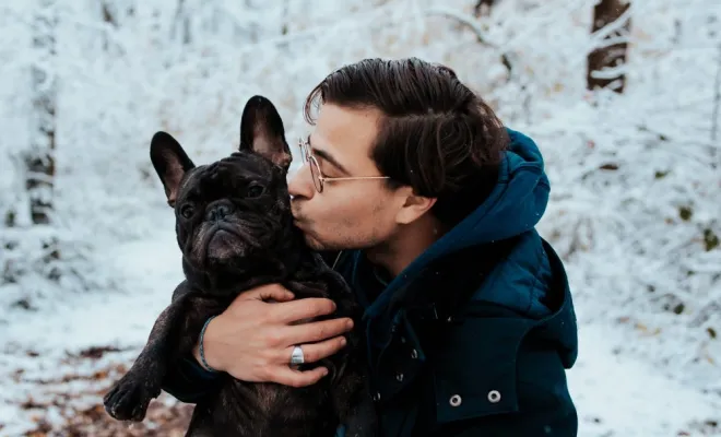 Photographe professionnelle séance photo d'un chien  et de ses maîtres à Besançon, Besançon, TAILS PHOTOGRAPHIE
