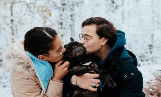 Photographe professionnelle séance photo d'un chien  et de ses maîtres à Besançon, Besançon, TAILS PHOTOGRAPHIE