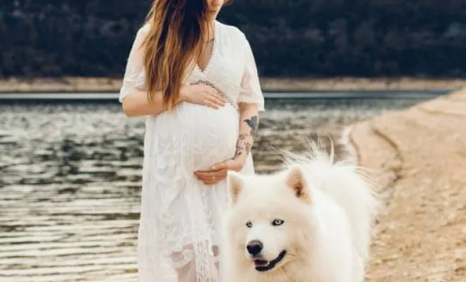 Séance photo grossesse en pleine nature en Franche-Comté avec une photographe professionnelle, Besançon, TAILS PHOTOGRAPHIE
