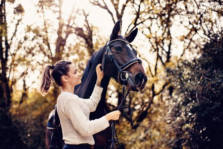 Photographe professionnel chevaux Besançon