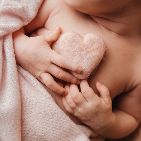 Photographe professionnelle pack shooting grossesse et naissance en studio à Besançon