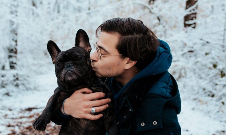 Photographe professionnelle séance photo d'un chien  et de ses maîtres à Besançon