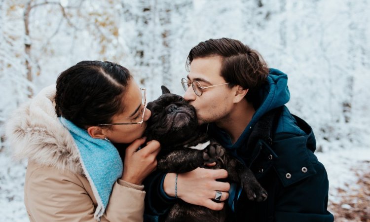 Photographe professionnelle séance photo d'un chien  et de ses maîtres à Besançon