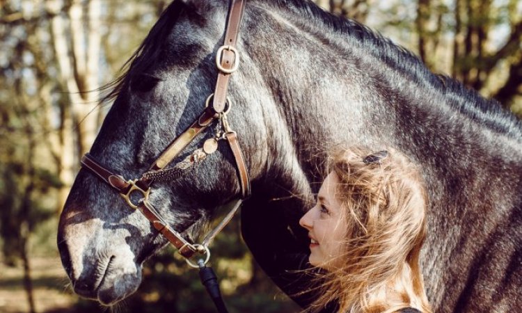 Photographe professionnelle séance photo avec chevaux à Besançon 