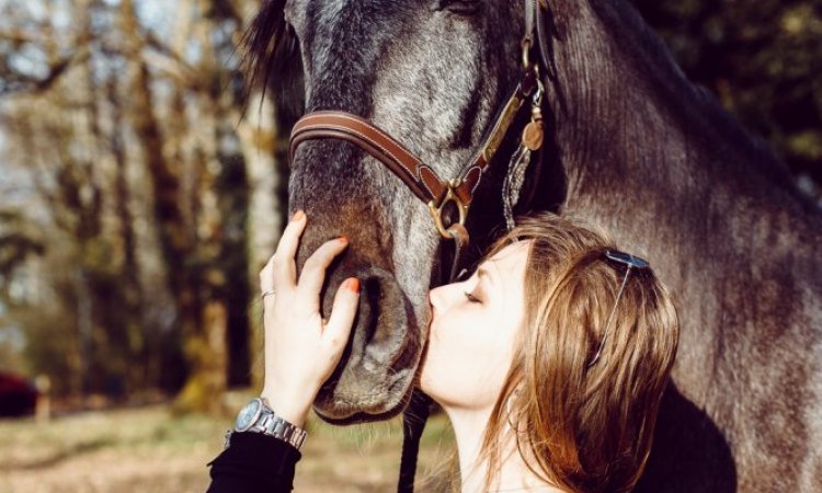 Photographe professionnelle séance photo avec chevaux à Besançon 