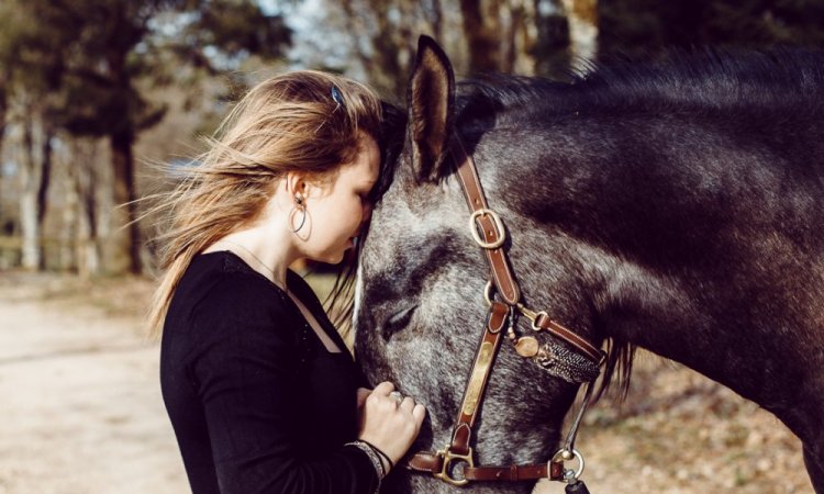 Photographe professionnelle séance photo avec chevaux à Besançon 