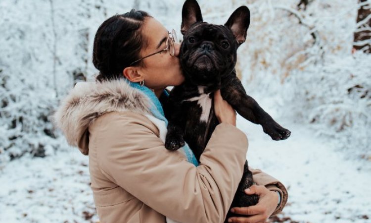 Photographe professionnelle séance photo d'un chien  et de ses maîtres à Besançon